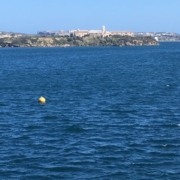 ML llevant 2-2-17 vistas